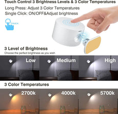 LED Wall Mounted Lights